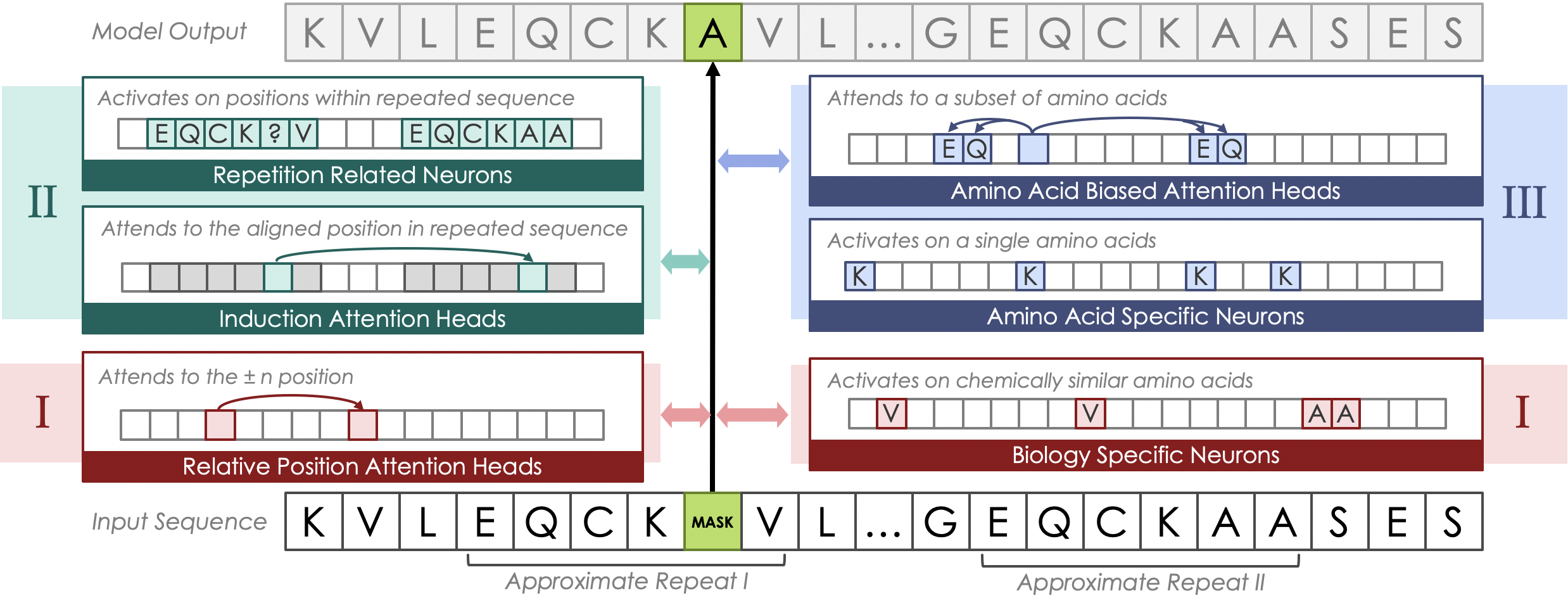 Visualization of the repeat identification mechanism