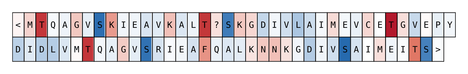 Bidirectional amino-acid neuron ESM-C
