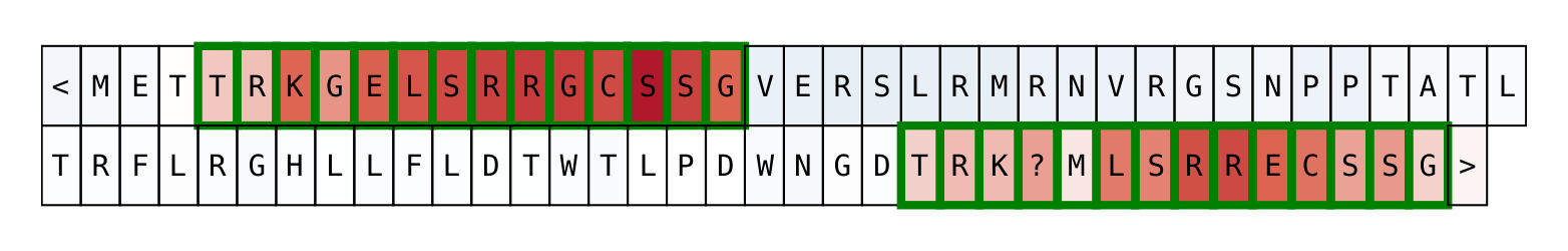 Repeat tokens neuron